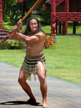 New Zealand, Maori, threat, threatening gesture, shows his tongue, warrior, fighter, tradition,