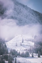 Snow-covered landscape with individual fir trees and a wide view of hills and fog, Kaisergebierge,