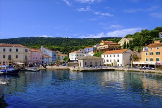 Veli Losinj harbour, near Mali Losinj, island of Losinj, Kvarner Gulf Bay, Croatia, Europe