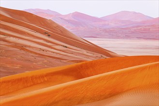 Wind-sculpted sand dunes in the Rub al Khali desert, Dhofar province, Arabian Peninsula, Sultanate