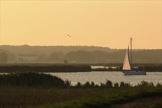 Sailing boat, Baltic Sea, Mecklenburg-Western Pomerania, Germany, Europe