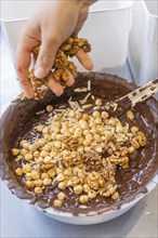 Hand adds walnuts and other nuts to a chocolate, Burch Schokolade production, Haselstaller Hof,