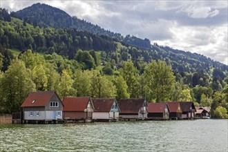 Boathouses in Bühl, Großer Alpsee, near Immenstadt, Oberallgäu, Allgäu, Bavaria, Germany, Europe