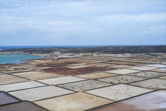 Sea salt extraction, Janubio salt works, Salinas de Janubio, Lanzarote, Canary Islands, Spain,