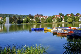 Burgsee, Bad Salzungen, Rhön, Wartburgkreis, Thuringia, Germany, Europe