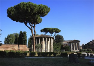 Piazza della Bocca della Verita, Tempio di Ercole Vincitore, Rome, Italy, Europe