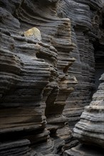 Las Grietas volcano columns, Lanzarote, Canary Islands, Spain, Europe