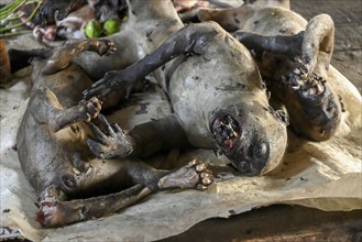 Bushmeat at a market, monkey meat, poaching, Ouésso, Sangha department, Republic of Congo