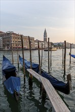 Venetian gondolas, boat dock at the customs office on the Grand Canal, Gondola Traghetto Dogana,