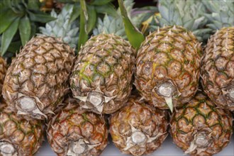 Selling pineapples at a weekly market market, Majorca, Balearic Islands, Spain, Europe