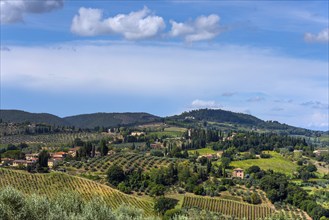 Hilly landscape, Tourism, Travel, Tuscany, Italy, Europe