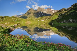 Chli Sustenhorn and Sustenhorn reflected in the Seebodensee, Canton Bern, Switzerland, Europe