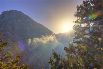 Sunlight penetrating through the mist and trees in a mountain landscape, entrance to the Samaria