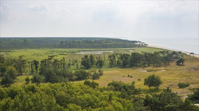 Coastal landscape at the western beach, sandy beach, reed and moor areas, pond, Darß forest, pine