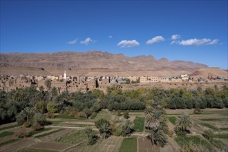 Oasis with traditional mud houses and date palms, on the edge of the Todra Gorge or Gorges du