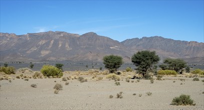 Desert-like landscape with mountains near Alnif, Morocco, Africa