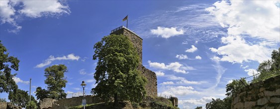 The Wachtenburg castle near Wachenheim close to Bad Dürkheim