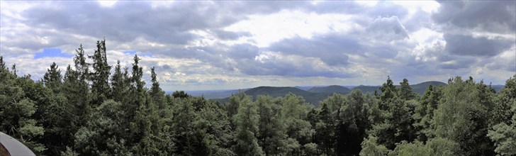 Panorama of the Palatinate Forest