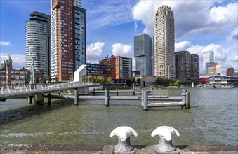 High-rise buildings at Kop van Zuid, at the Rijnhaven harbour basin, Rijnhavenbrug, bridge,