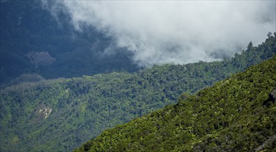 Irazu Volcano, Irazu Volcano National Park, Parque Nacional Volcan Irazu, Cartago Province, Costa