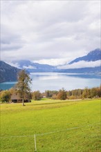 Green shore meadows lead to a quiet mountain lake under a dramatic sky, Lake Brienz, Switzerland,