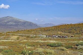 Group of riders leading horses through an open autumn landscape with mountains in the background,