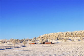 Farm at a hill in a rural landscape a cold sunny winter day with snow and frost and a clear blue