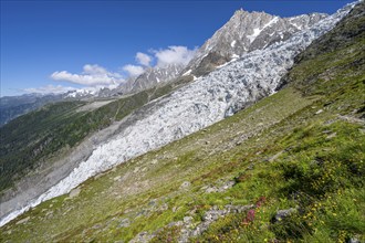 Mountain landscape with glacier Glacier des Bossons and summit of the Aiguille du Midi, Chamonix,