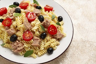 Tuna salad, fusilli pasta, olives and cherry, olive oil, homemade