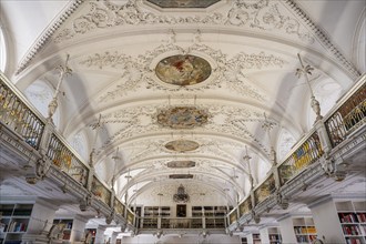 Richly decorated vault of the library, Salem Castle, former imperial abbey, former monastery of the