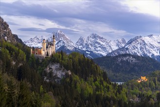 Neuschwanstein Castle near Füssen, Hohenschwangau Castle, evening mood, Schwangau, Allgäu Alps,