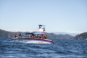 Tourist boat, excursion boat on the sea, Osa, Costa Rica, Central America