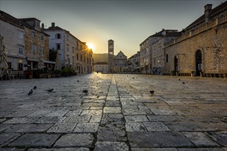 View of an empty cobbled street in the old town of Hvar at sunrise, some pigeons, Hvar town square,