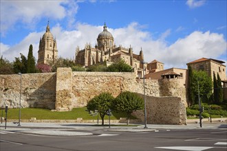 Salamanca Cathedral facade in Spain by the Via de la Plata way to Santiago