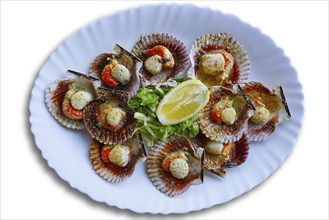 Zamburinas scallops recipe typical from Galicia Spain