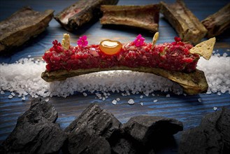 Steak tartar with egg yolk on half bone presentation modern cuisine