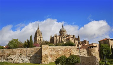 Salamanca Cathedral facade in Spain by the Via de la Plata way to Santiago