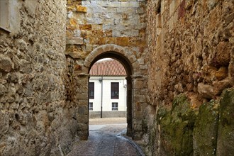 Zamora door of Dona Urraca in Spain by the via de la Plata way to Santiago