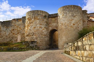 Zamora door of Dona Urraca in Spain by the via de la Plata way to Santiago