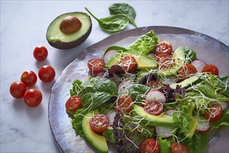 Avocado salad with sprouts tomatoes spinach and radish healthy food