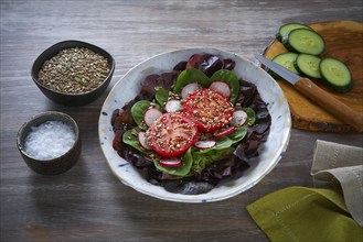 Tomato salad with seeds radish spinach and lettuces healthy food