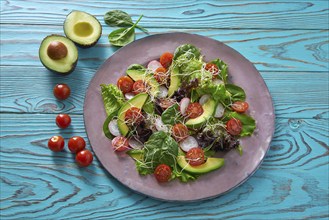 Avocado salad with sprouts tomatoes spinach and radish healthy food