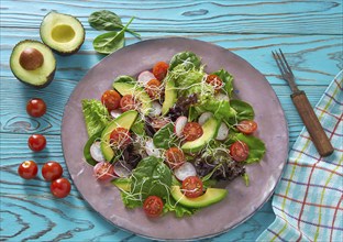 Avocado salad with sprouts tomatoes spinach and radish healthy food