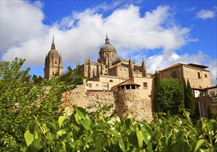 Salamanca Cathedral facade in Spain by the Via de la Plata way to Santiago