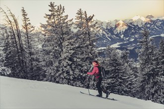 A woman's ski tour at sunrise on the Tegelberg in the Allgäu in the Ammergebirge, Bavaria, Germany,