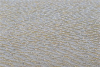 Evenly flowing waves on a sandy beach, North Sea, Norderney, East Frisian Islands, Lower Saxony,