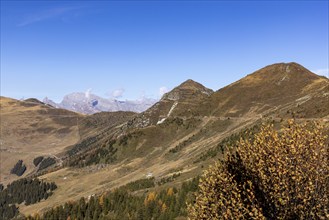 Trail traverse, Tete des Etablons and Col des Mines, left Croix de Coeur pass, Verbier, Valais,