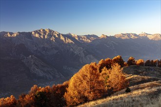 Sunset, autumnal larches, view of the Rhone valley with Saillon, La Tzoumaz, Riddes, Valais,