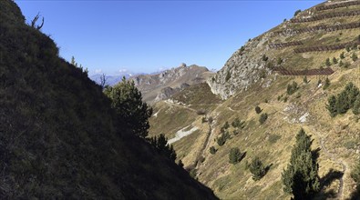 Ascent to Col des Mines, hiking trail with avalanche protection, behind Croix de Coeur, La Tzoumaz,