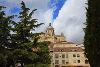 Salamanca Cathedral in Spain by the Via de la Plata way to Santiago